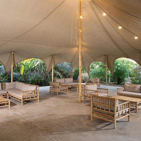 فندق Layla Glamping نير داويد المظهر الخارجي الصورة