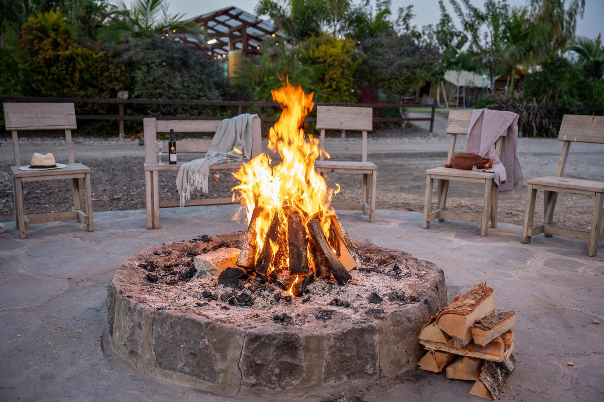 فندق Layla Glamping نير داويد المظهر الخارجي الصورة