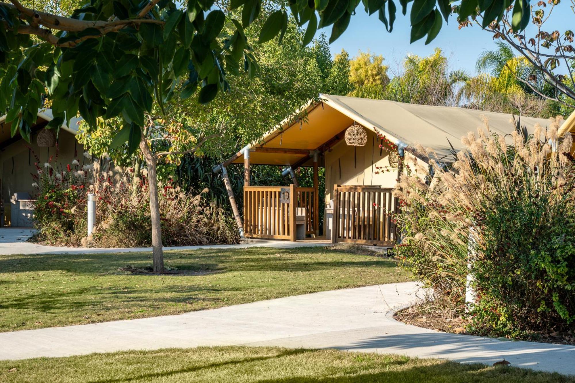 فندق Layla Glamping نير داويد المظهر الخارجي الصورة
